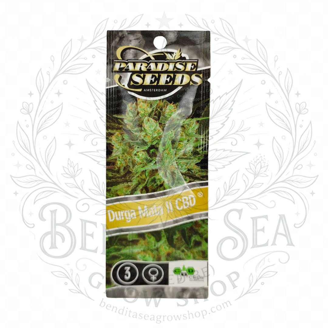 Durga Mata II CBD: cogollo de Durga Mata II CBD con la marca de agua de Bendita Sea