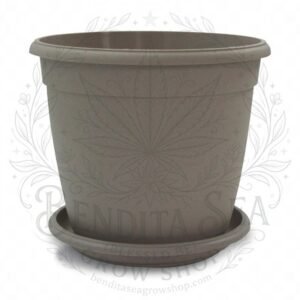 Eco matera Genova de 18 cm gris con su plato, vista de frente