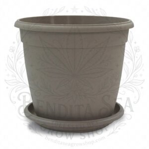 Eco matera Genova de 26 cm gris con su plato, vista de frente