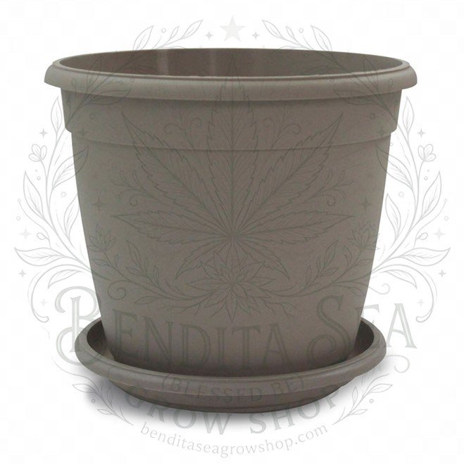 Eco matera Genova de 26 cm gris con su plato, vista de frente