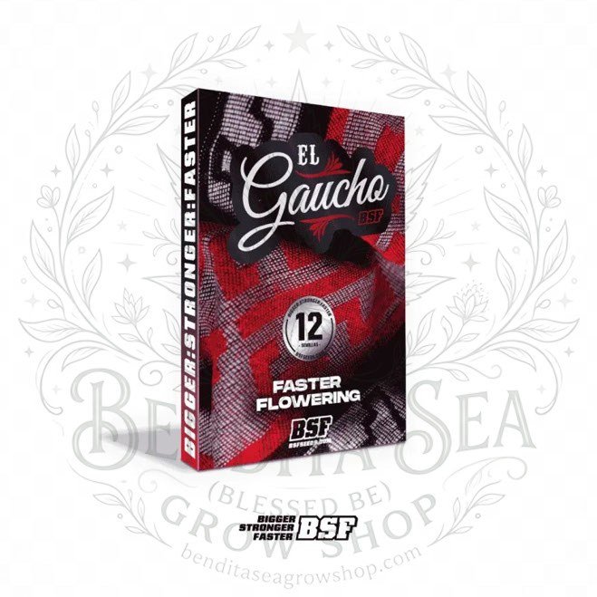 El Gaucho Faster Flowering: cogollo de El Gaucho Faster Flowering con la marca de agua de Bendita Sea