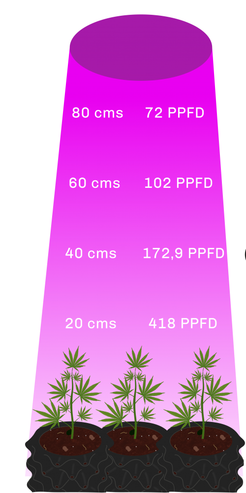 Que-es-PPF-y-PPDF--31