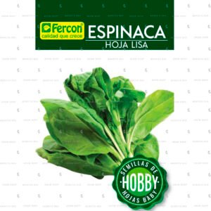 Espinaca hoja