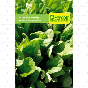 Espinaca Viroflay