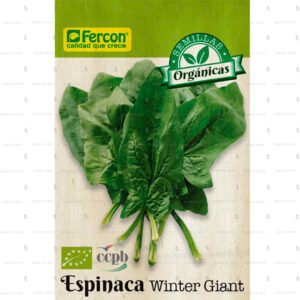 Paquete de semillas de espinaca Winter Giant