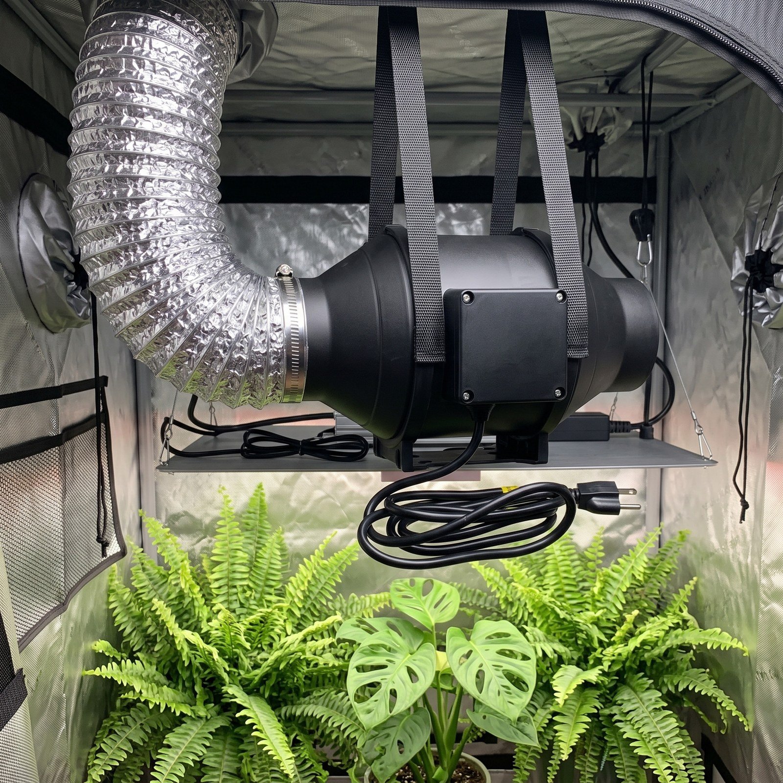 Extractor intractor de 4 pulgadas en una mesa con plantas