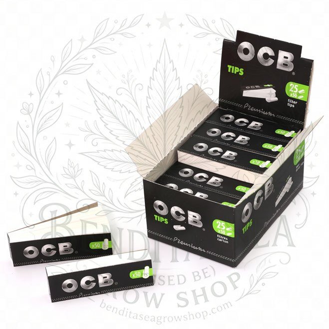 Filtros OCB Tips Premium x50: caja exhibidora y librillos de filtros, sobre fondo blanco