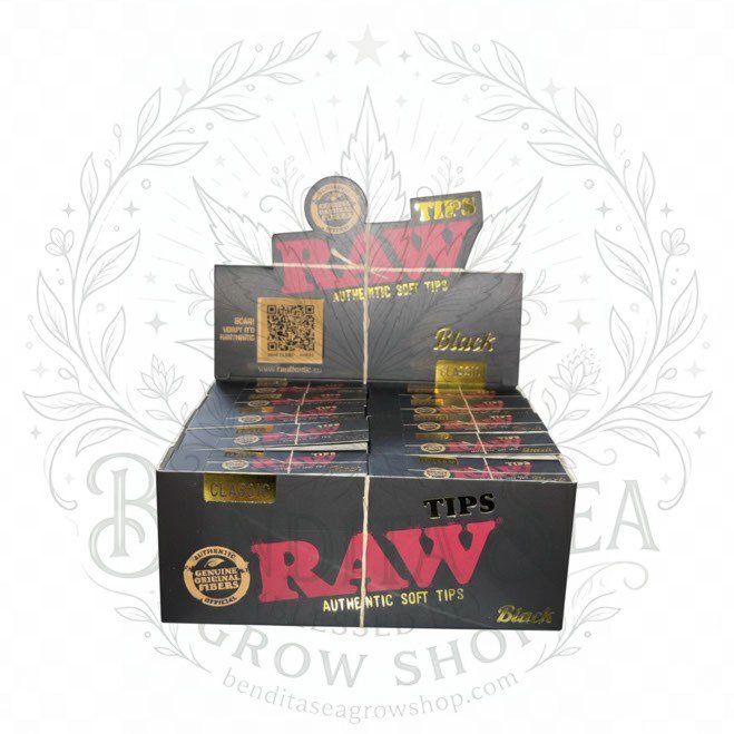 Filtros RAW Black Tips Classic: caja exhibidora sobre fondo blanco