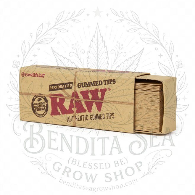 Filtros RAW Tips Gummed en su caja, sobre fondo blanco