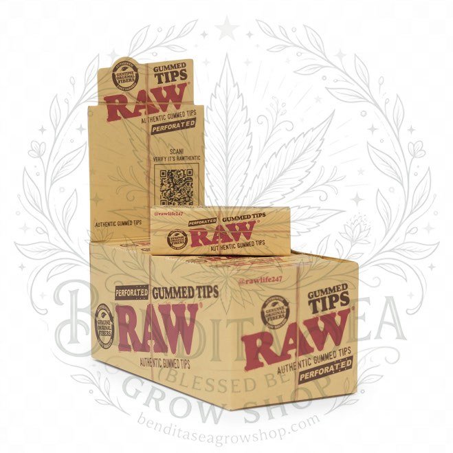 Filtros RAW Tips Gummed: caja exhibidora sobre fondo blanco