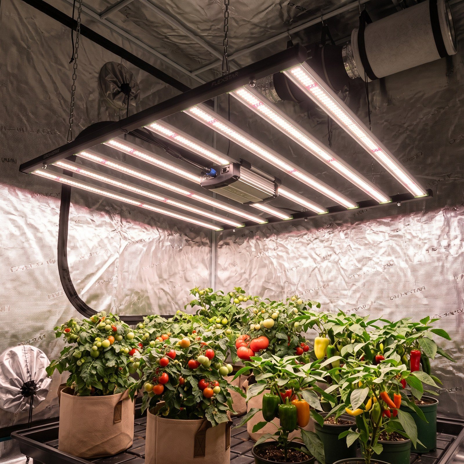 Lámpara LED Flex Star 720 W encendida sobre plantas de tomate y pimentón en un armario