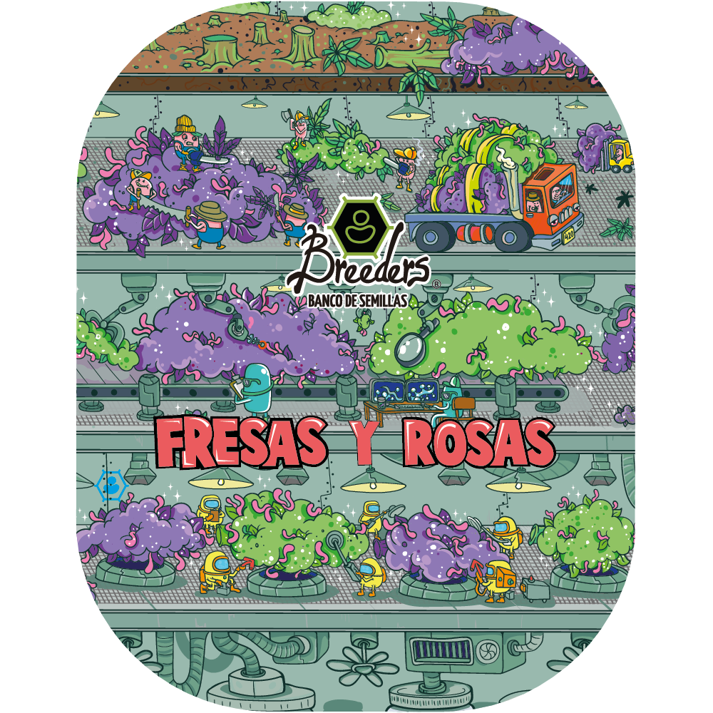 Semilla de marihuana Fresas y Rosas de Breeders - Foto 1