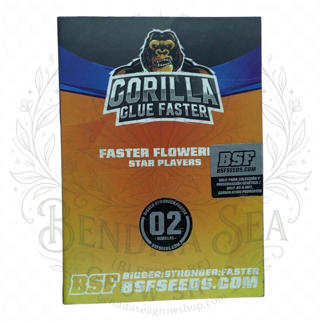 Gorilla Glue #4 FASTER: cogollo de Gorilla Glue #4 FASTER con la marca de agua de Bendita Sea