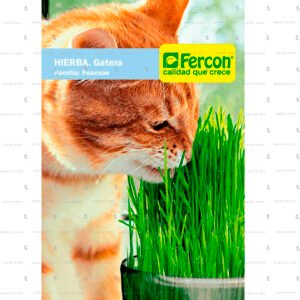 Semillas de hierba gatera Fercon en su empaque original