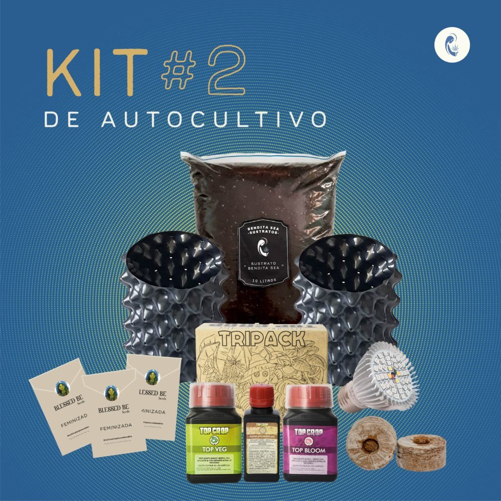 kit de cultivo 2