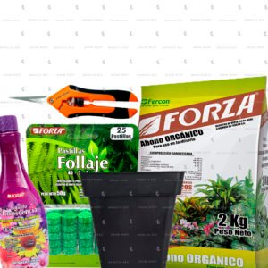 Kit Autocultivo #15 Jardinería