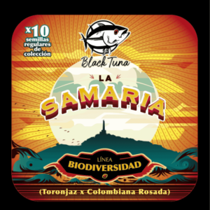 Semilla de marihuana La Samaria de Black Tuna - Foto 1