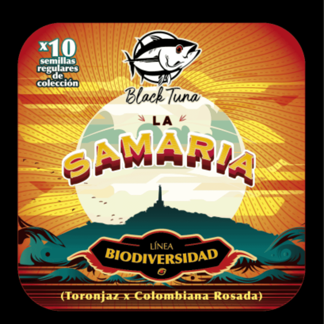Semilla de marihuana La Samaria de Black Tuna - Foto 1