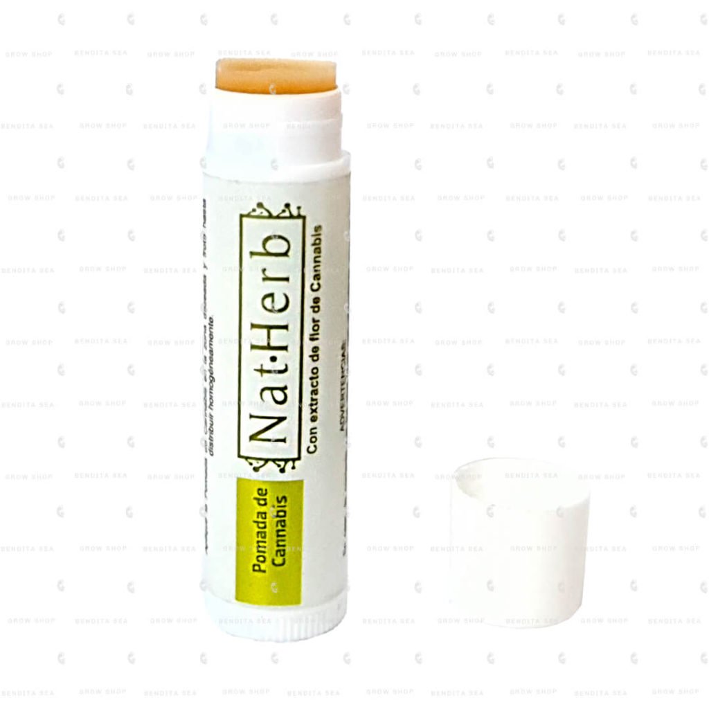 Labial de CBD Shapstick NatHerb - Protector Labial con Cannabidiol - Foto 2