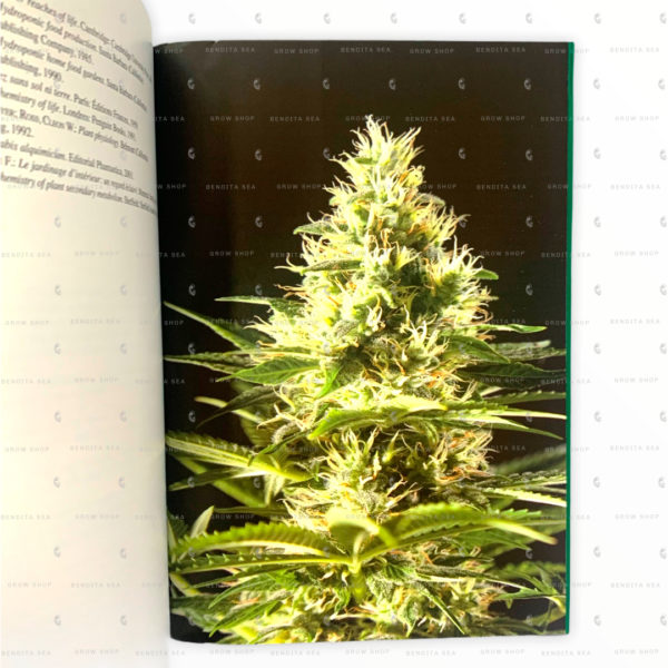 libro cultivo hidropónico de marihuana