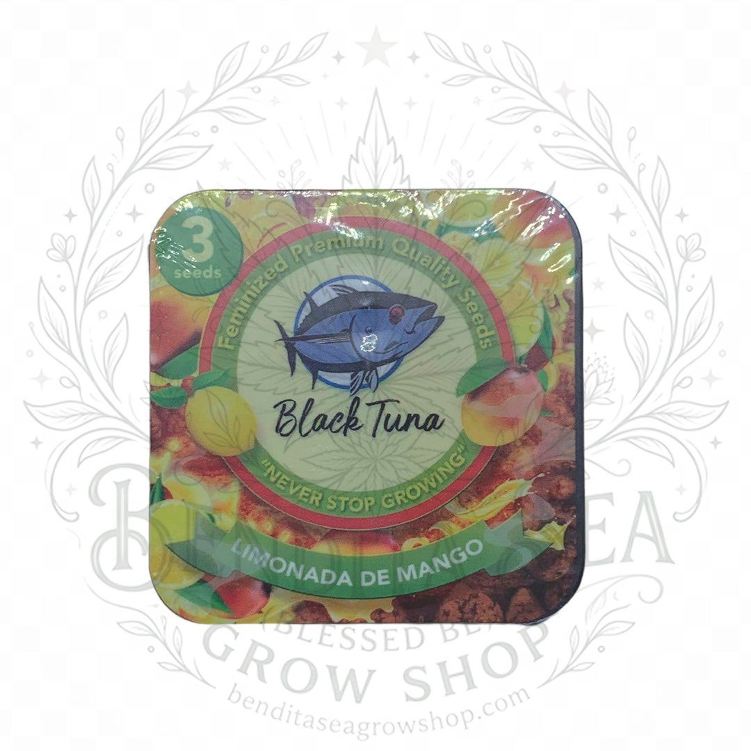 Limonada de Mango F2: cogollo de Limonada de Mango F2 con la marca de agua de Bendita Sea