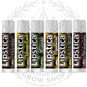 Lipstica Hidratante Labial 5g Endotica con marca de agua