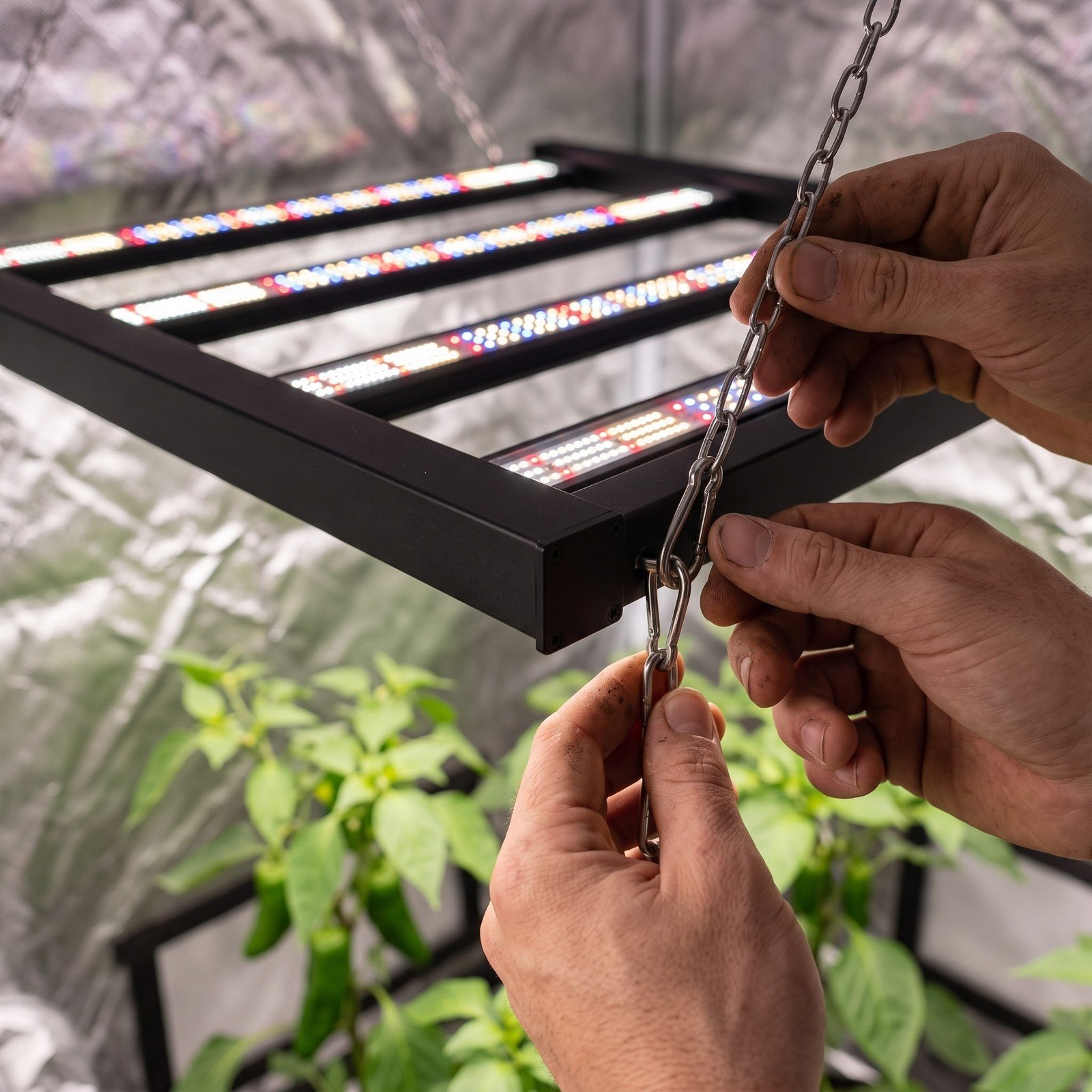 Manos colgando la lámpara LED Spectrum 320 W en la estructura de un armario