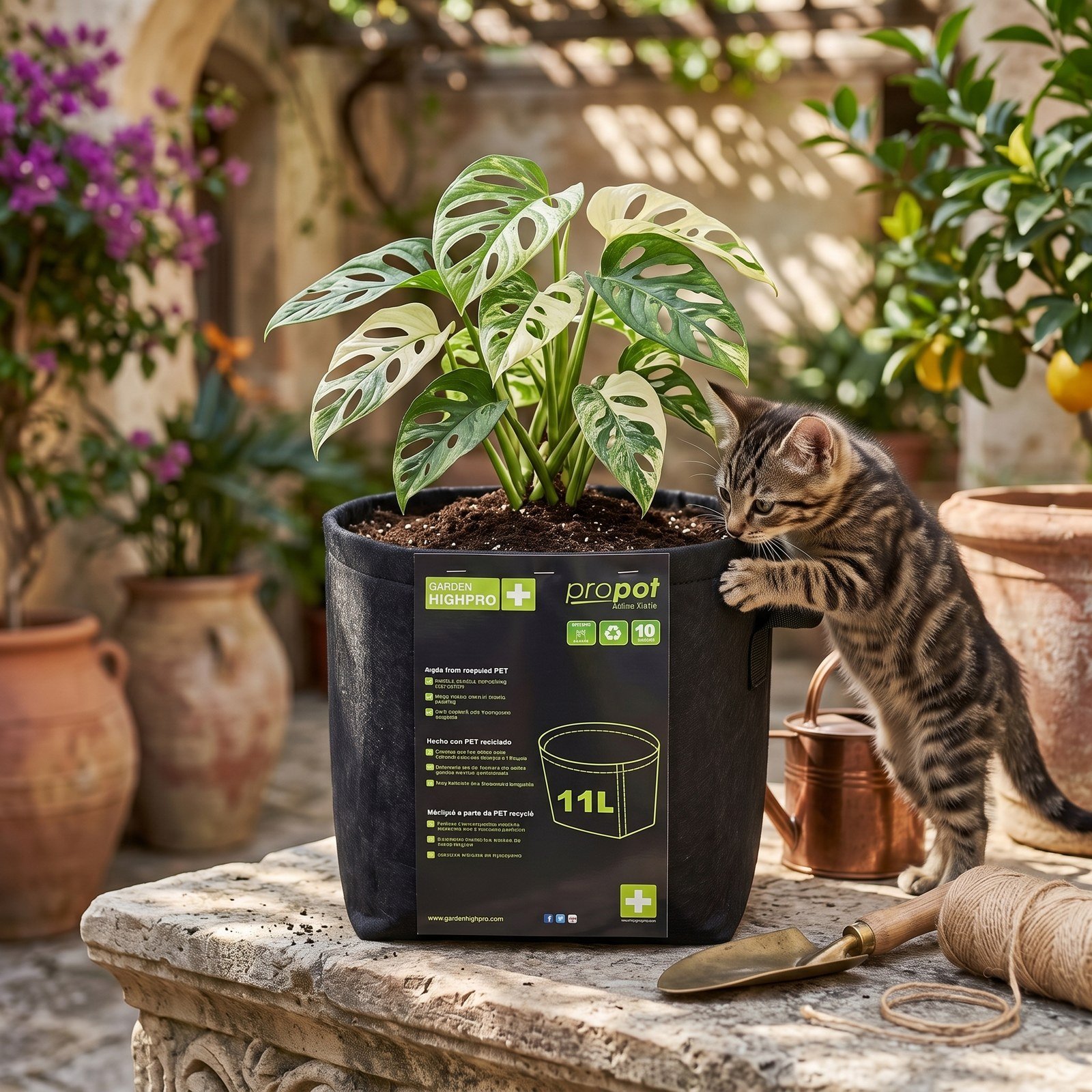 Matera geotextil de 11 litros con una planta joven en un invernadero