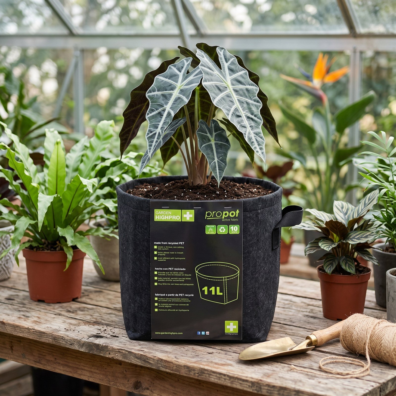 Matera geotextil de 11 litros con una planta sobre una mesa de trabajo