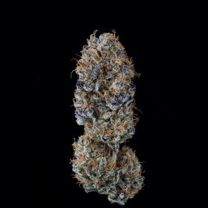 Semilla de marihuana Palabras Sobran de Black Tuna - Foto 1