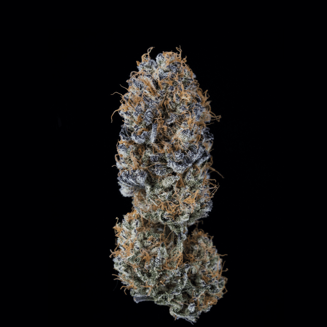 Semilla de marihuana Palabras Sobran de Black Tuna - Foto 1