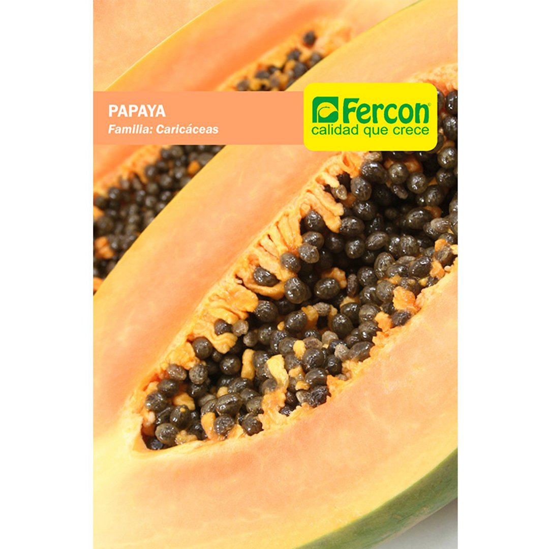 Semillas de Papaya Frutales Fercon - Imagen 3