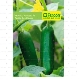 Semillas Hortalizas Pepino Cohombro