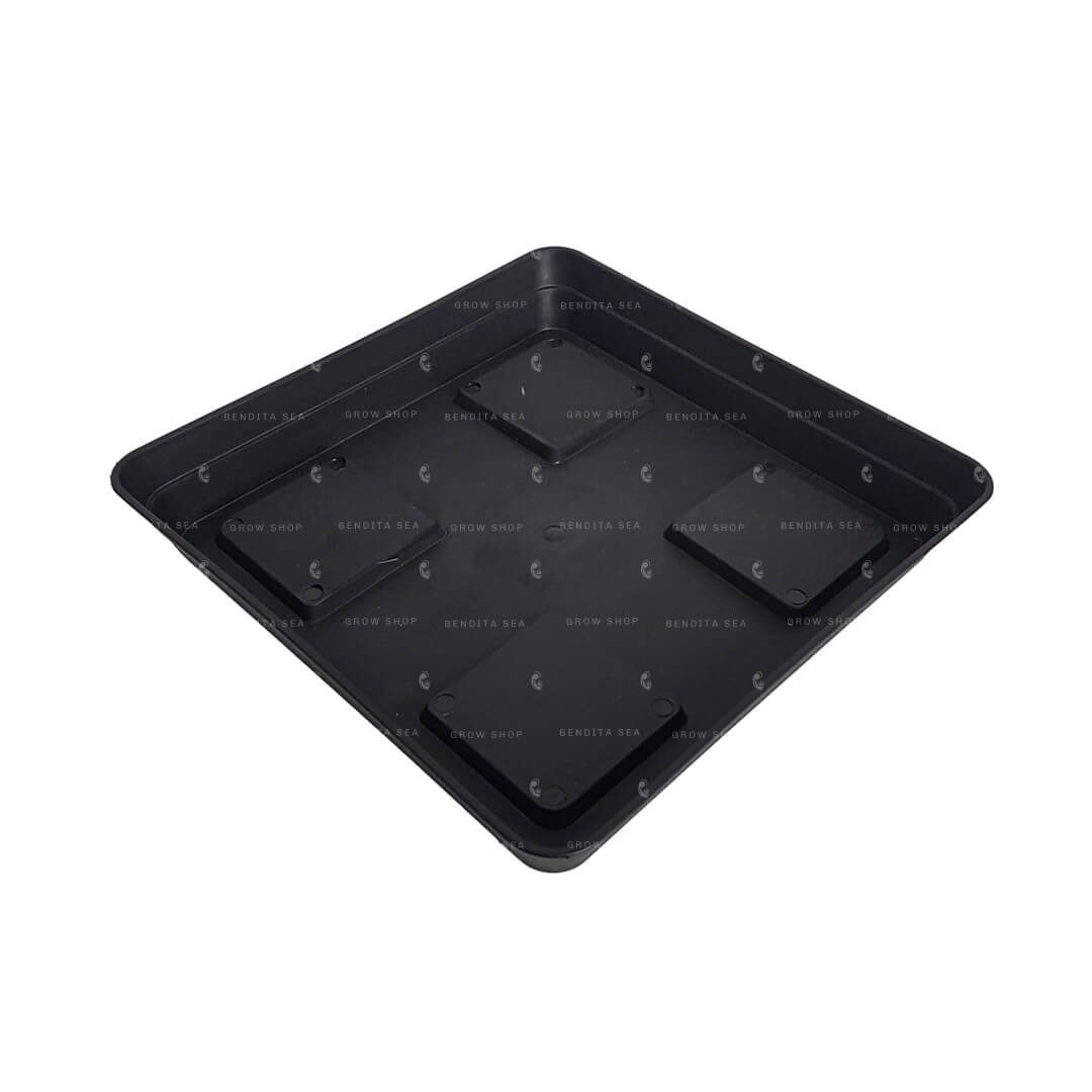 plato para maceta