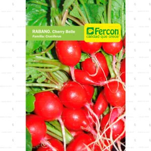 Cherry