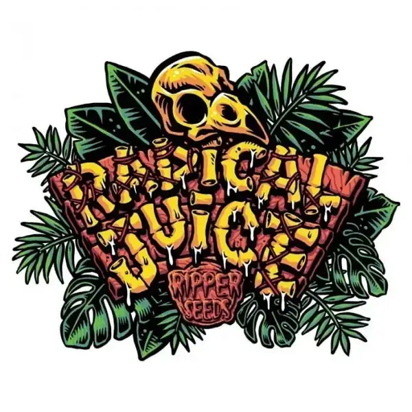 Semilla de marihuana Radical Juice de Ripper Seeds - Foto 2