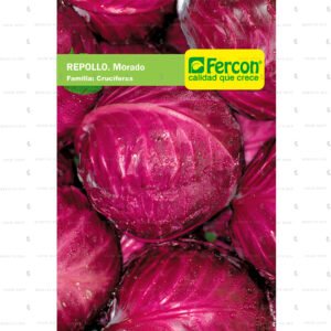 Repollo red