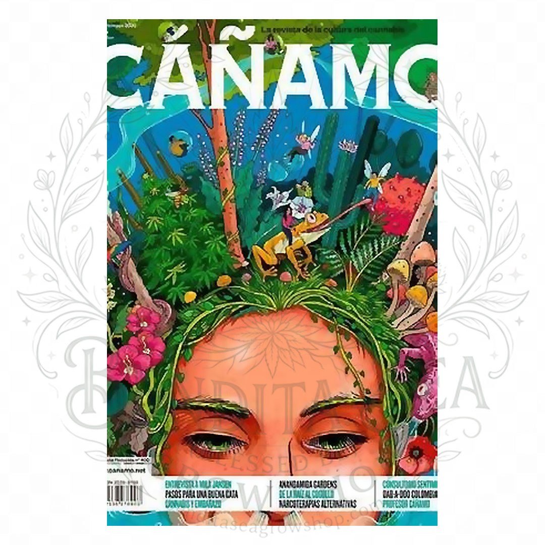 Revista Cáñamo número 15: portada sobre fondo blanco con marca de agua