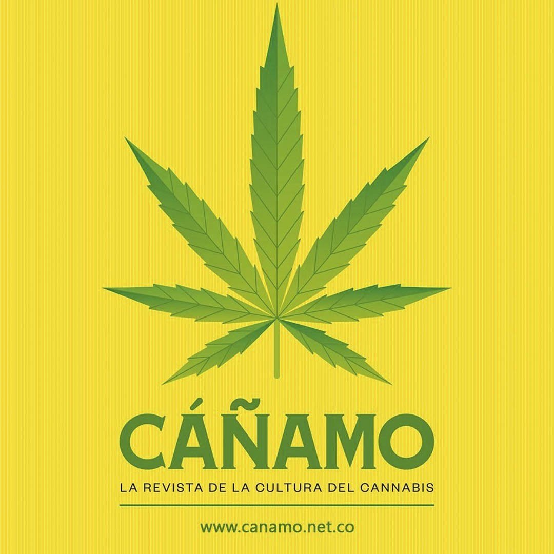 Revista Cáñamo número 19: logotipo de la revista Cáñamo sobre fondo amarillo