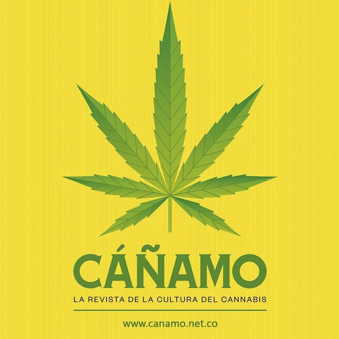 Revista Cáñamo número 20: logotipo de la revista Cáñamo sobre fondo amarillo