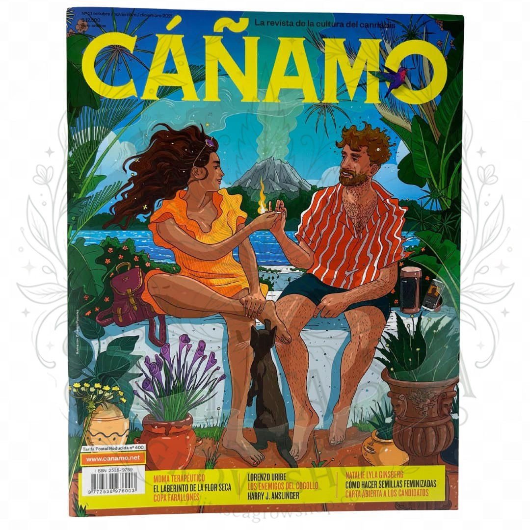 Revista Cáñamo número 21: portada sobre fondo blanco con marca de agua