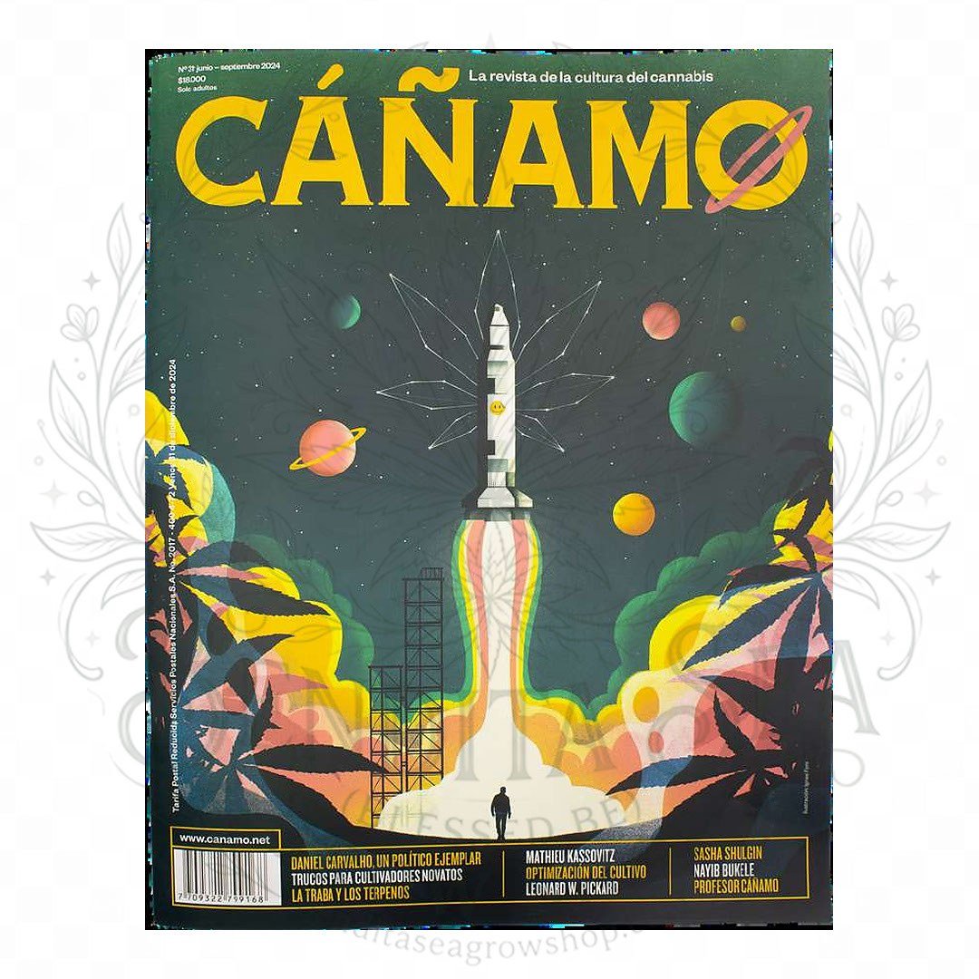 Revista Cáñamo número 31: portada sobre fondo blanco con marca de agua