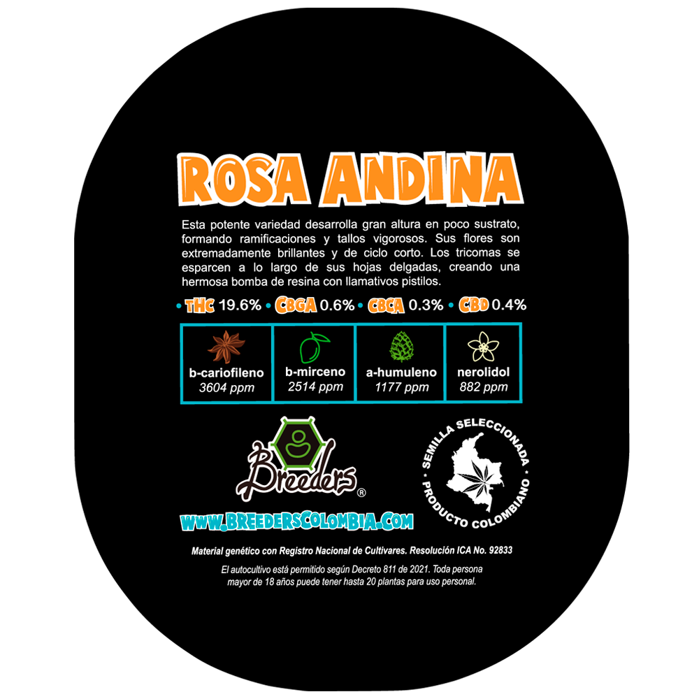 Semilla de marihuana Rosa Andina de Breeders - Foto 15