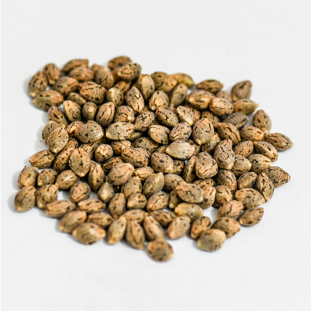 Semilla de marihuana Rosa Andina de Breeders - Foto 4