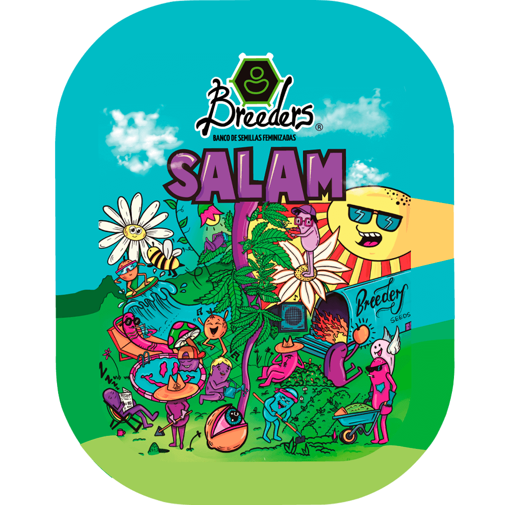 Semilla de marihuana Salam de Breeders - Foto 1