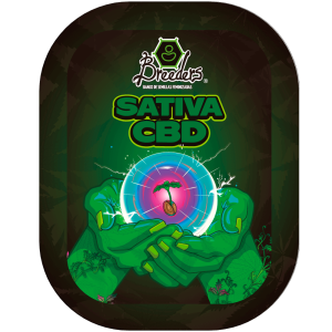 Semilla de marihuana Sativa CBD de Breeders - Foto 1