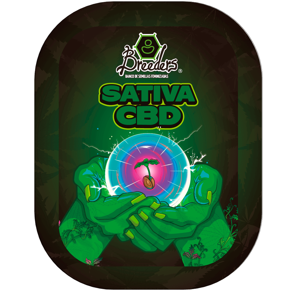 Semilla de marihuana Sativa CBD de Breeders - Foto 1