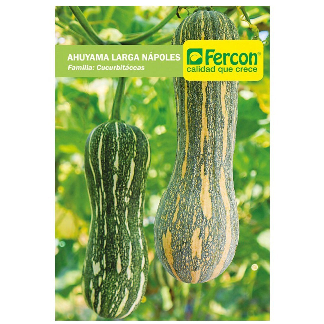 Semillas de Ahuyama Larga Nápoles Fercon: sobre de semillas de ahuyama larga Nápoles Fercon, vista frontal