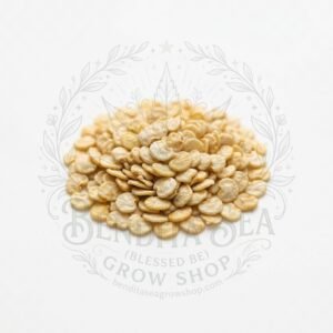 Semillas de Ají Habanero Amarillo Fercon: sobre sobre fondo blanco con la marca de agua de Bendita Sea