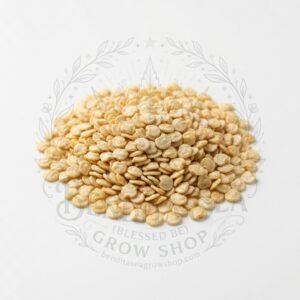 Semillas de Ají Habanero Mix Fercon: semillas sobre fondo blanco